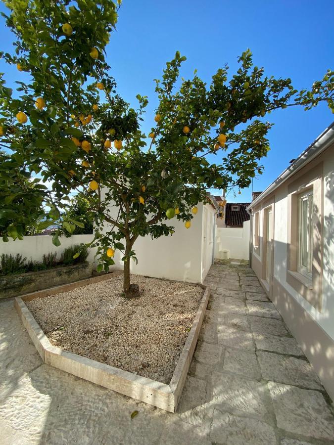 Se Velha Studios Coimbra Dış mekan fotoğraf