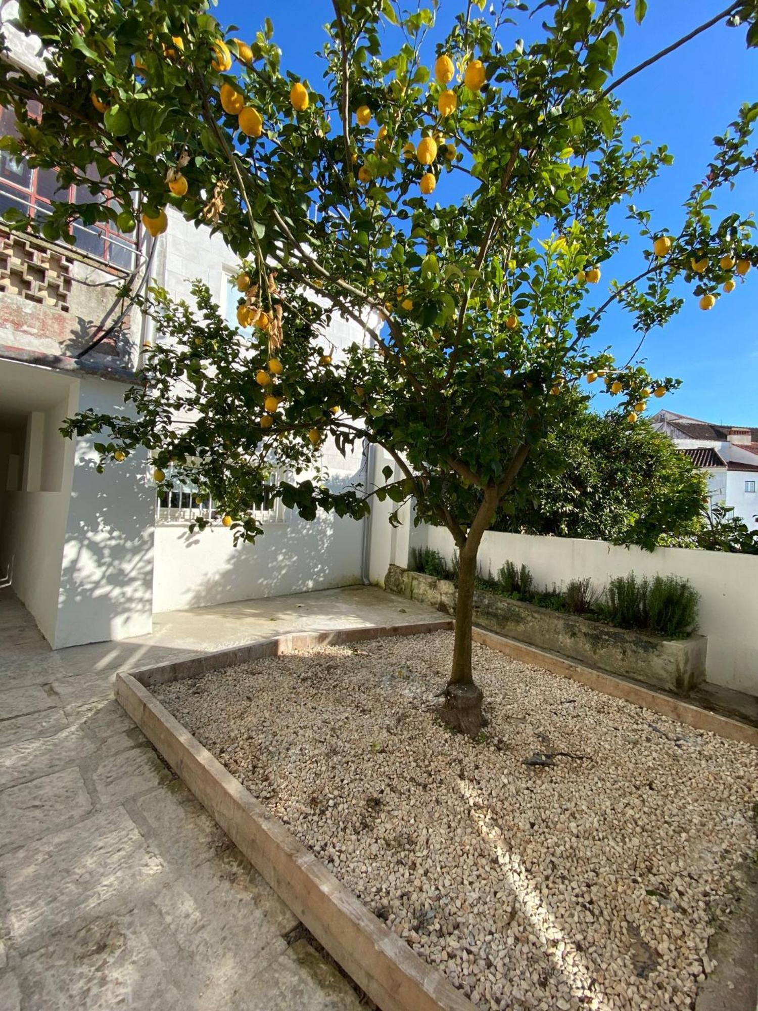 Se Velha Studios Coimbra Dış mekan fotoğraf